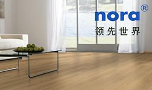 德国NORA诺拉